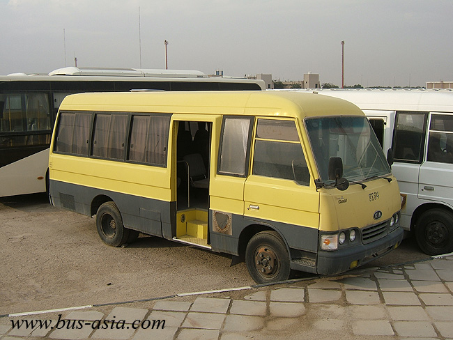Bus Asian 43