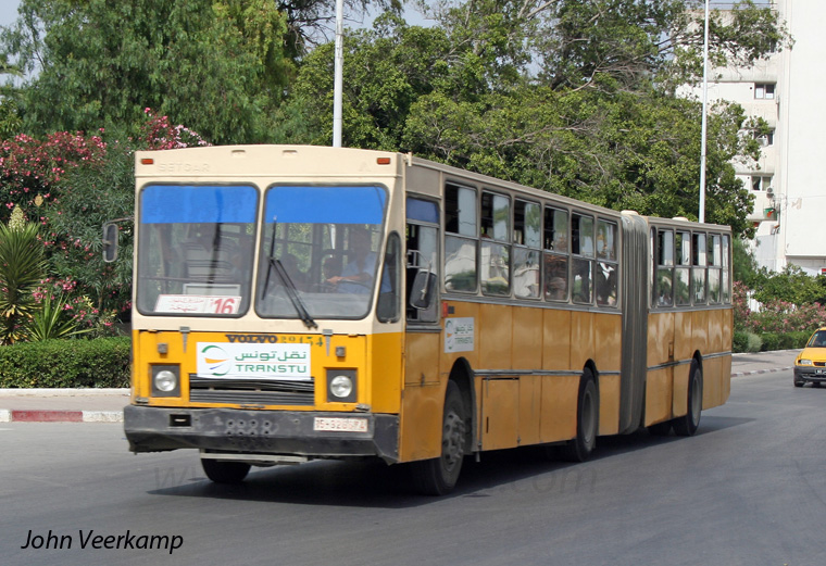 Buses in TunisiaTunisTRANSTUR