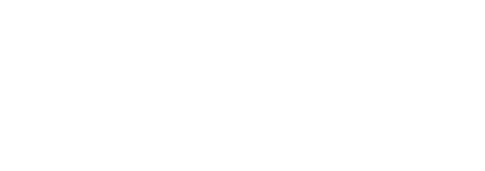 Discover the world of buses