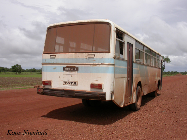 Tata 1313