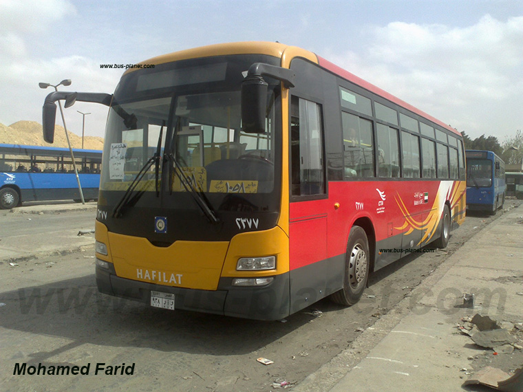 Buses in EgyptMCV C120LE