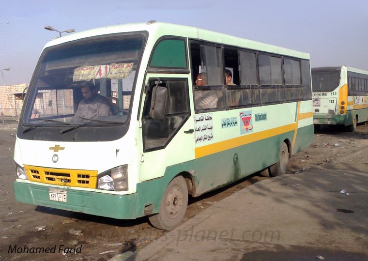 Bus Egypt