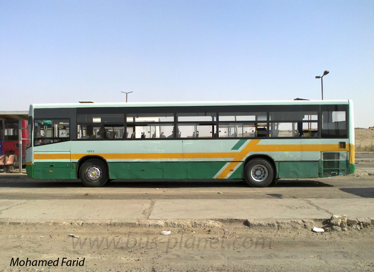 Bus Egypt
