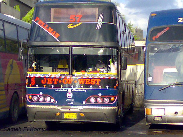bus-egypt