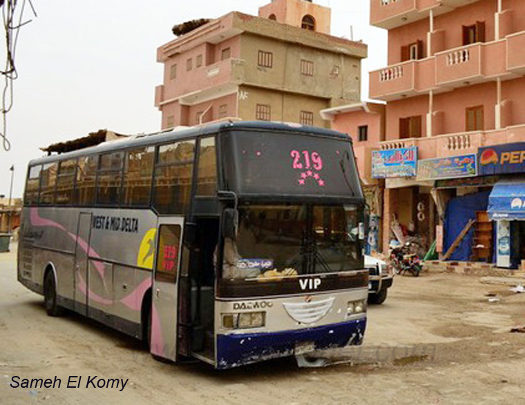bus-egypt