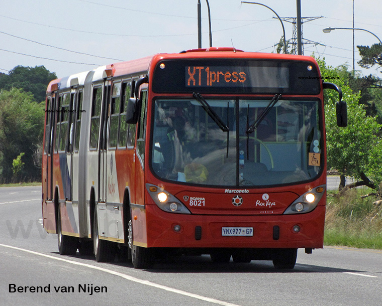 Bus