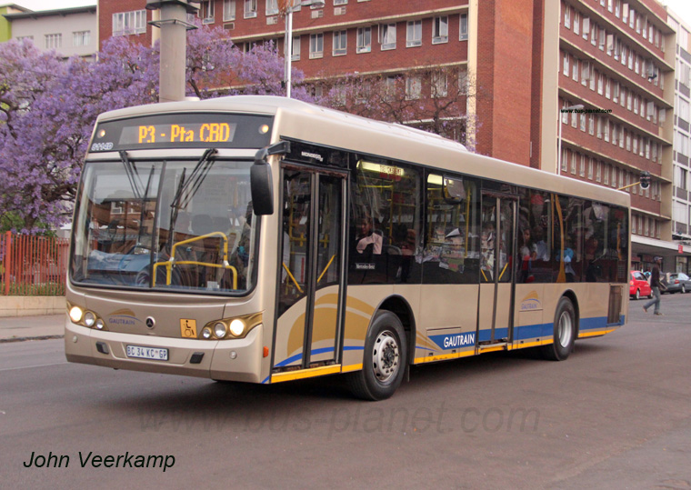 bus