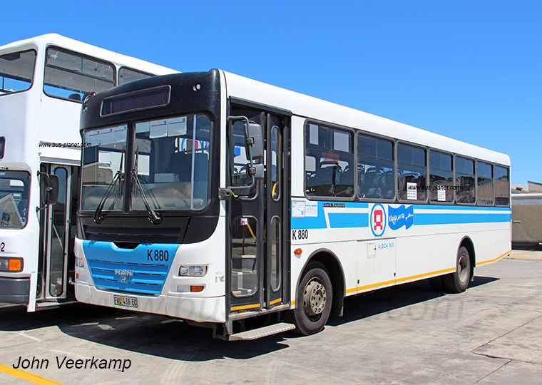Bus